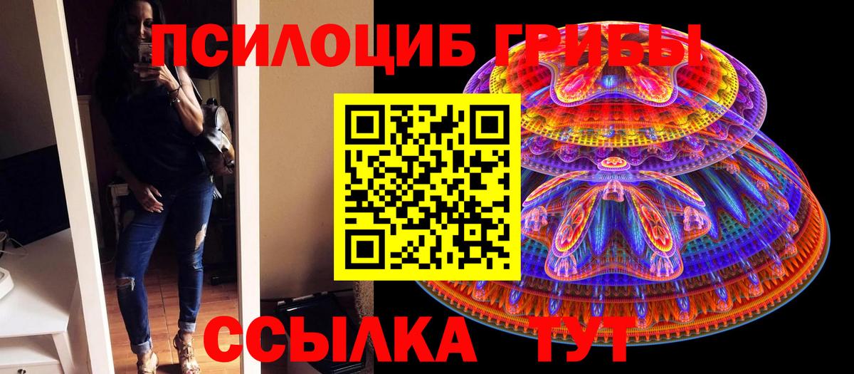 Псилоцибиновые грибы мицелий  Вход с VPN  Нерюнгри  Галлюциногенные грибы MAGIC MUSHROOMS 